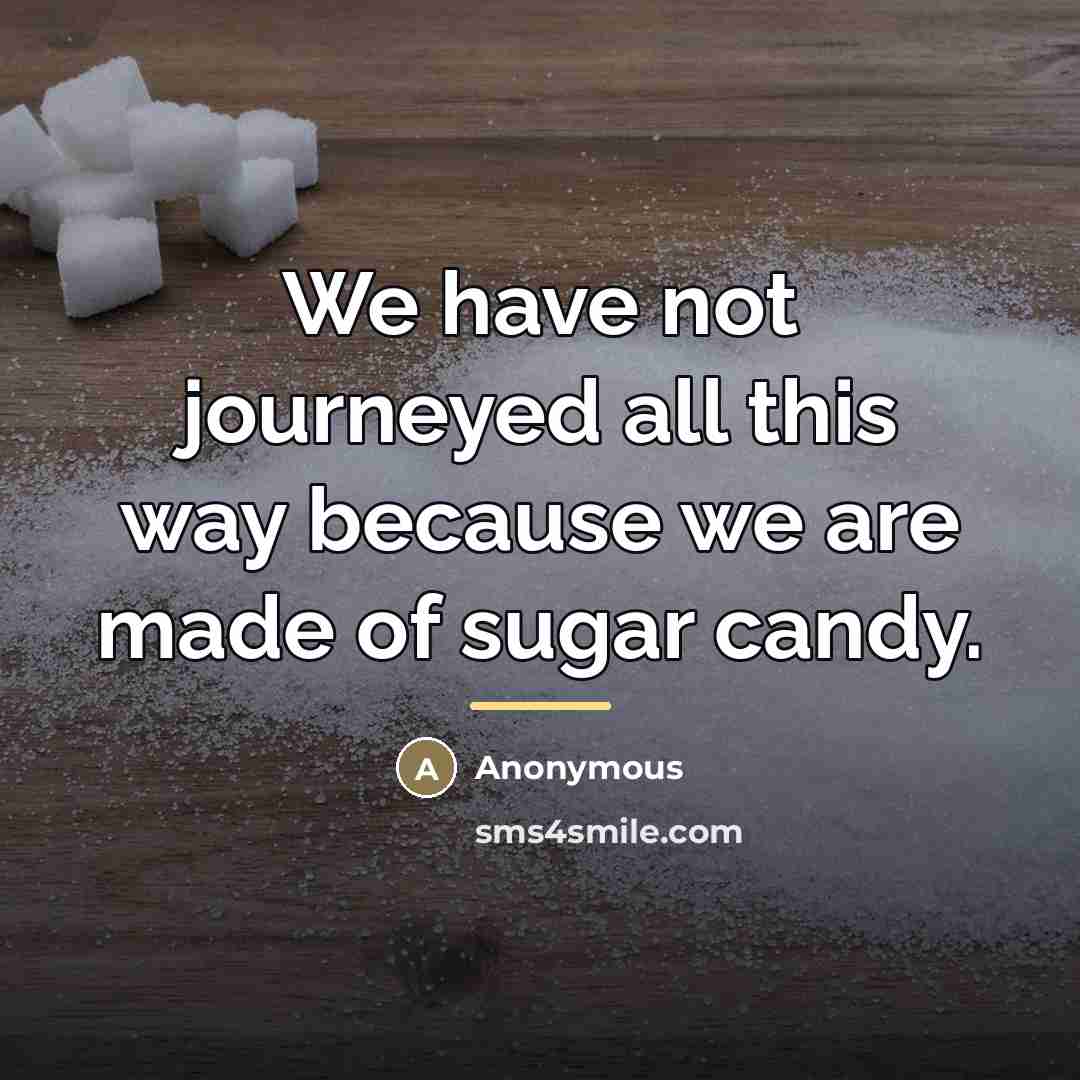 “We have not journeyed all this way because we are…” quote by Anonymous