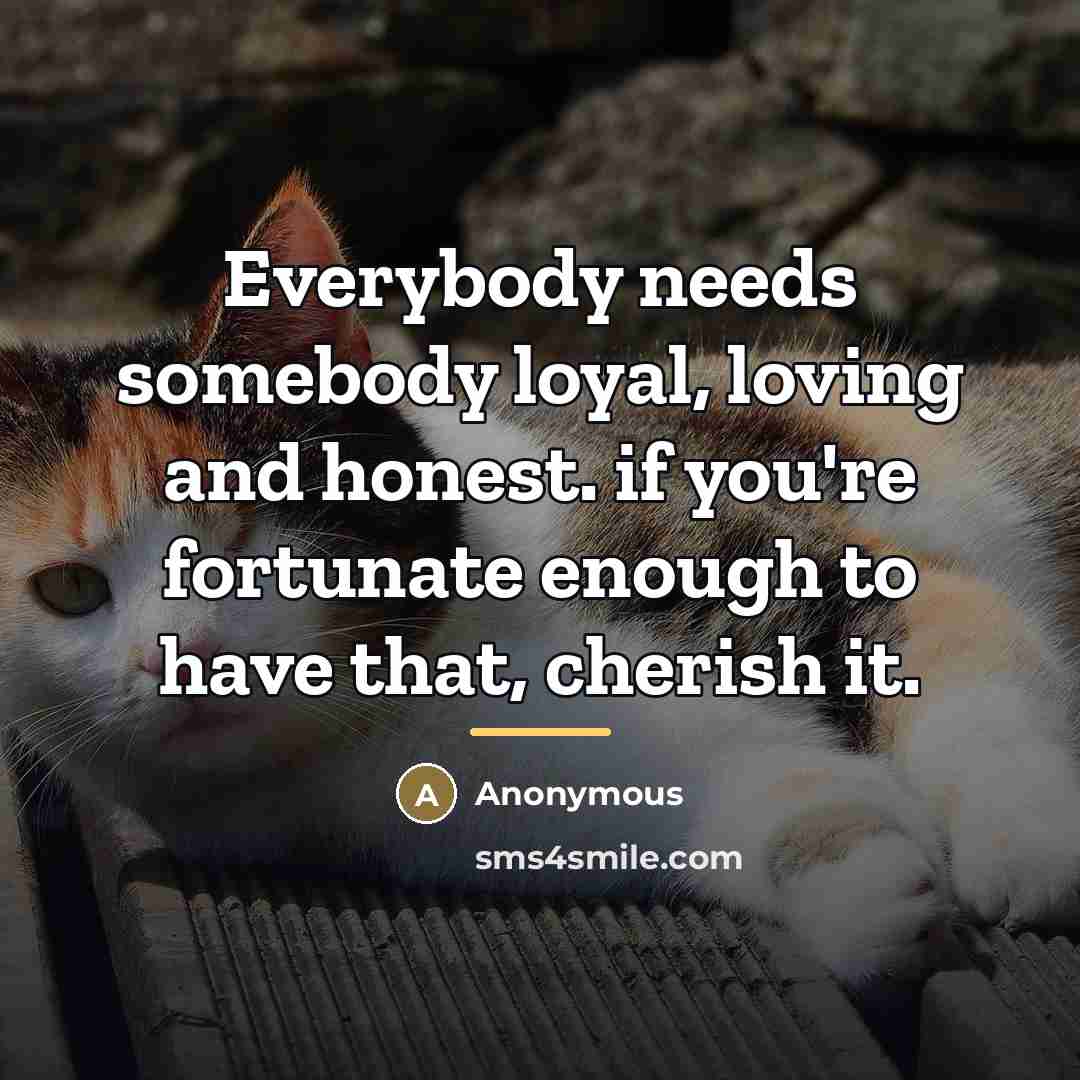 “Everybody needs somebody loyal, loving and honest. if you're fortunate enough to have that, cherish it.” quote by Anonymous