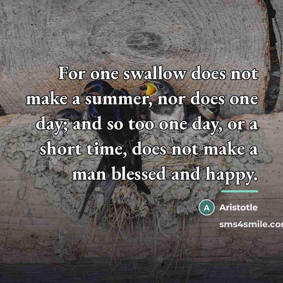 “For one swallow does not make a summer, nor does…” quote by Aristotle
