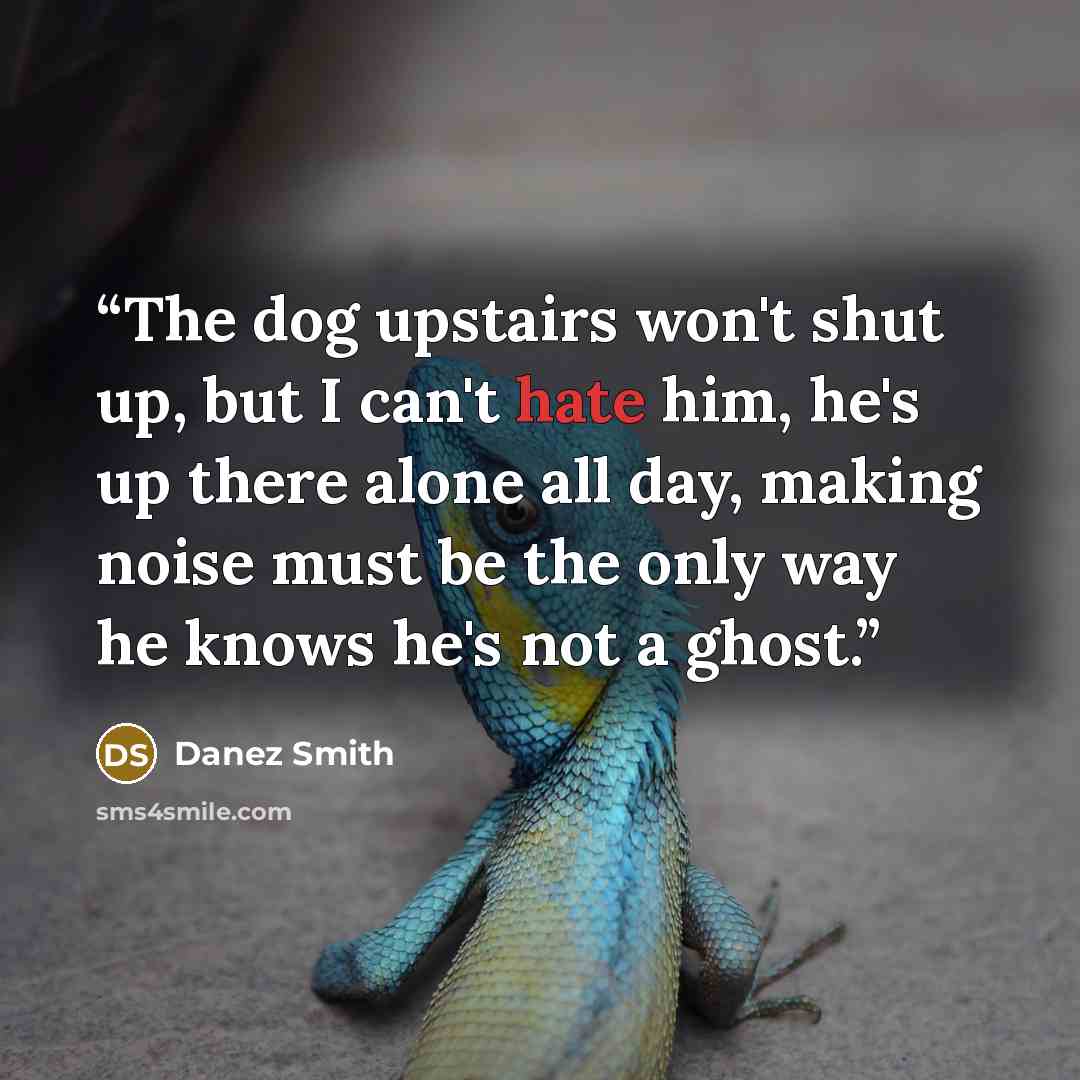 “The dog upstairs won't shut up, but I can't hate him, he's up there alone all day, making noise must be the only way he knows he's not a ghost.” quote by Danez Smith