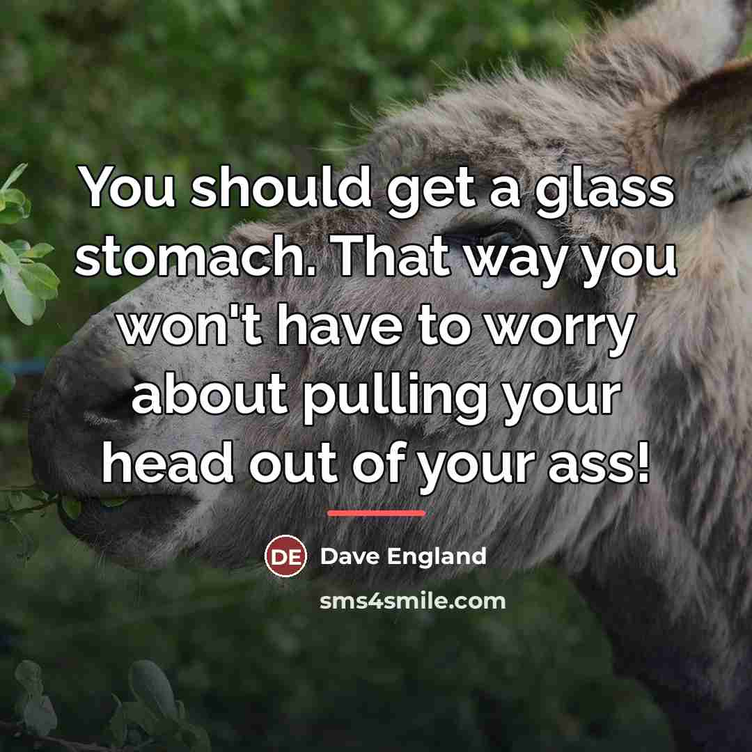 “You should get a glass stomach. That way you won't…” quote by Dave England