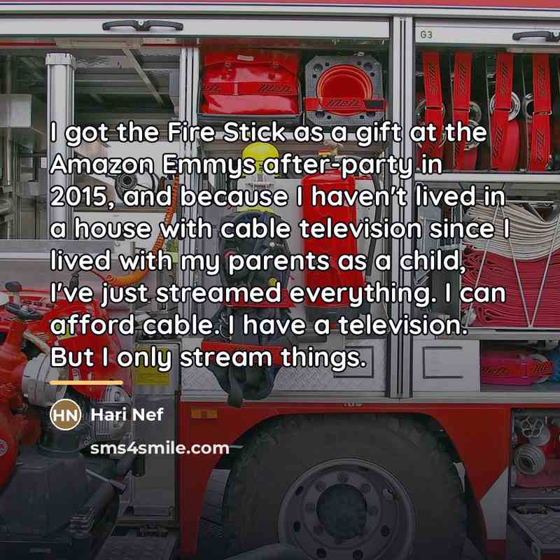 “I got the Fire Stick as a gift at the…” quote by Hari Nef