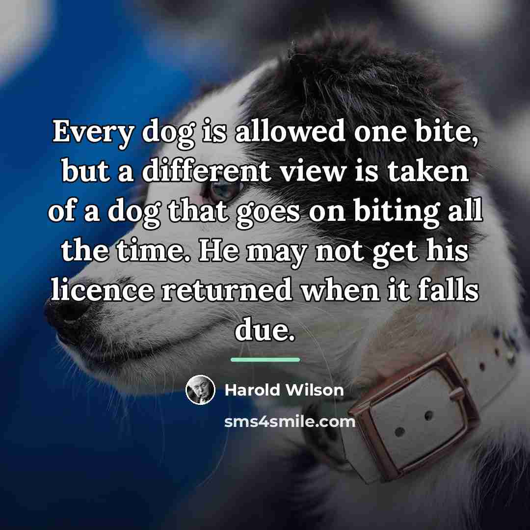 “Every dog is allowed one bite, but a different view…” quote by Harold Wilson