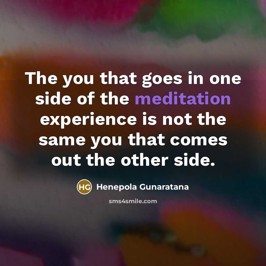 “The you that goes in one side of the meditation…” quote by Henepola Gunaratana