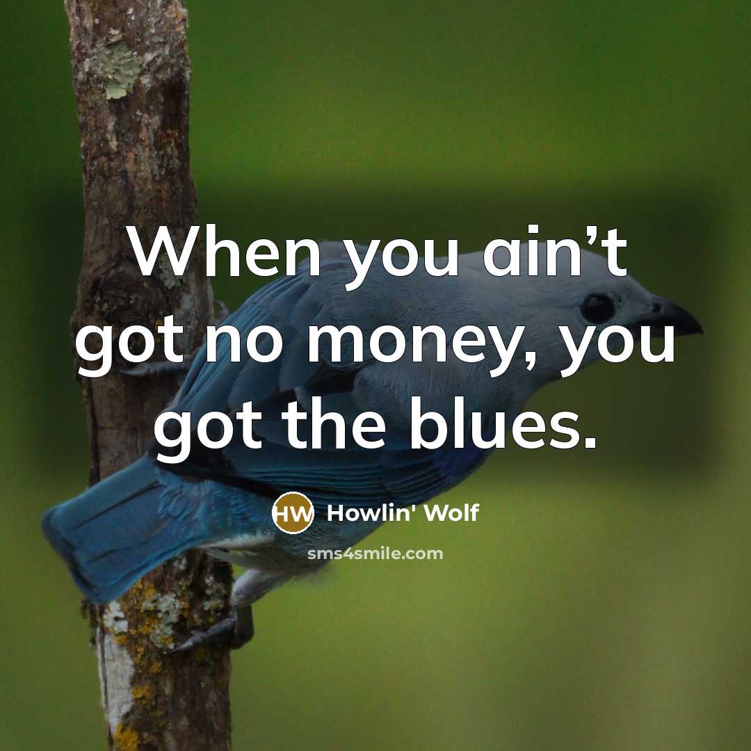 “When you ain’t got no money, you got the blues.” quote by Howlin' Wolf