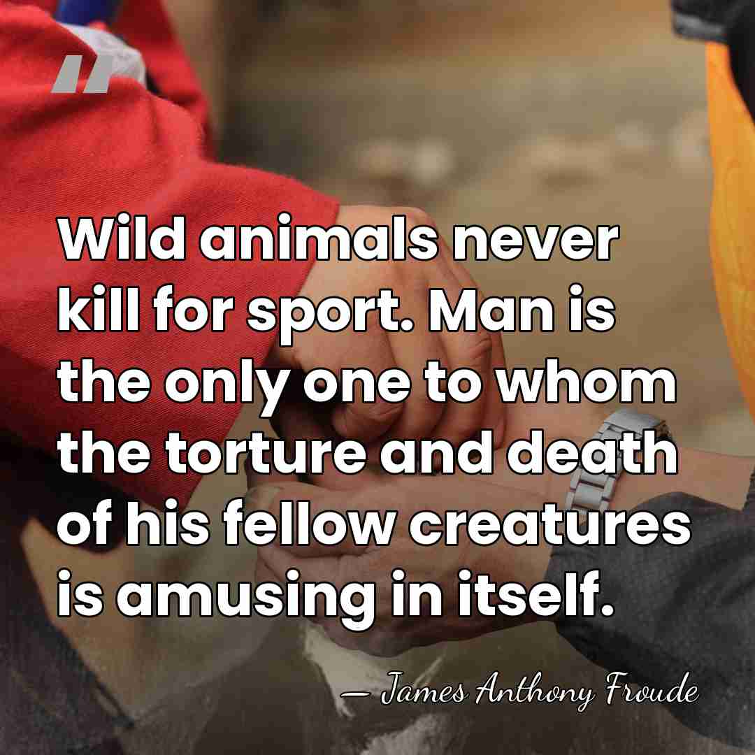 Wild animals never kill for sport. Man is the only one to&hellip; - James Anthony Froude