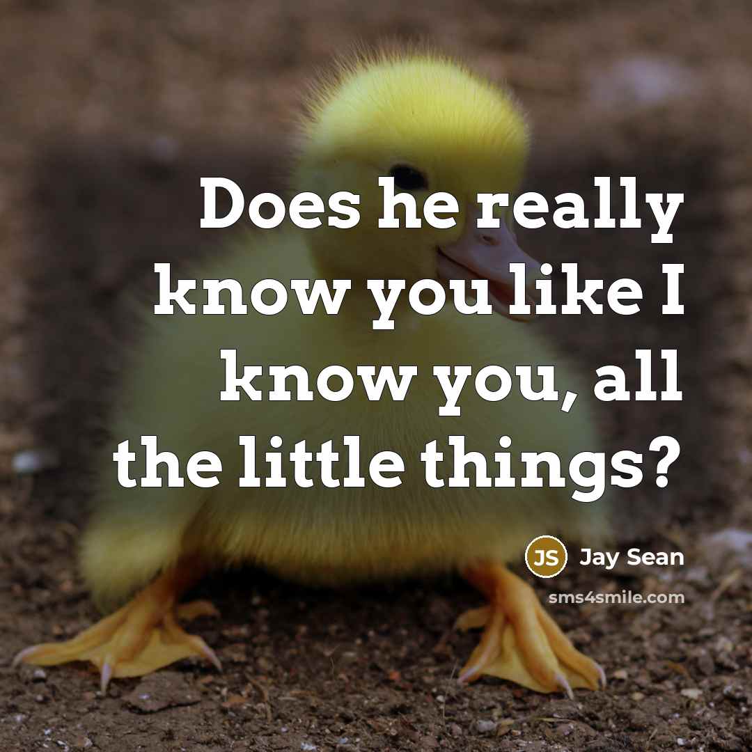 “Does he really know you like I know you, all…” quote by Jay Sean