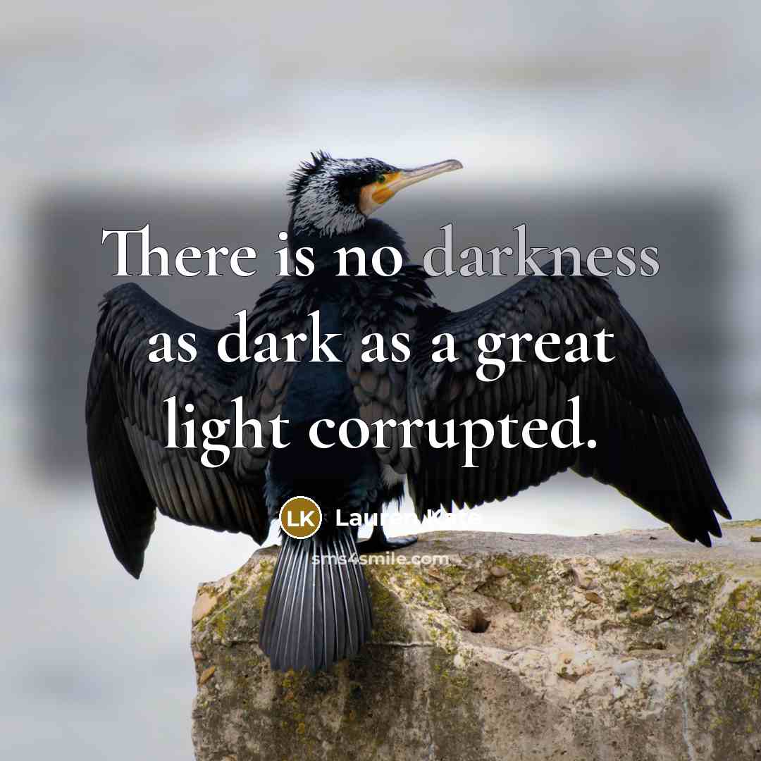 “There is no darkness as dark as a great light…” quote by Lauren Kate