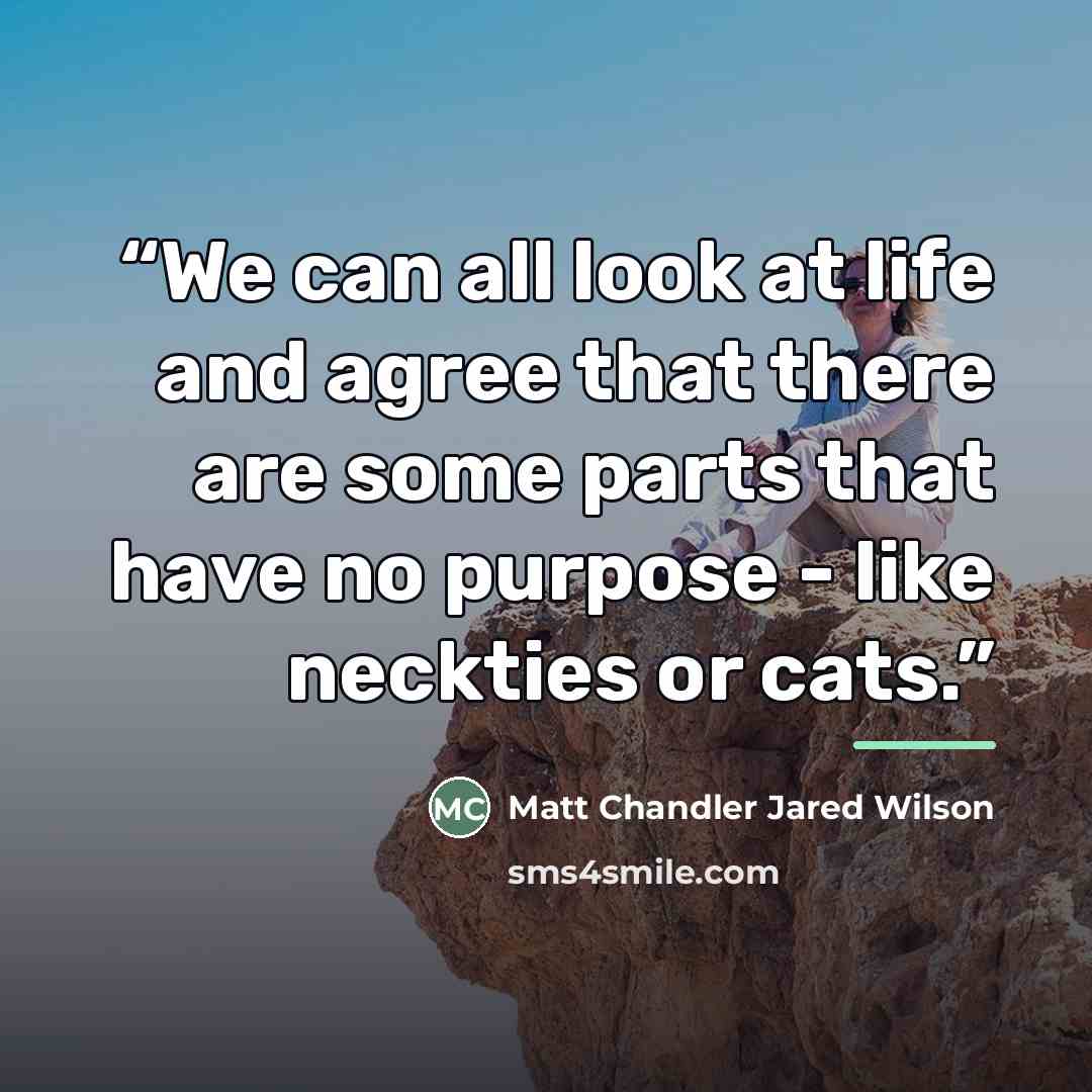“We can all look at life and agree that there are some parts that have no purpose - like neckties or cats.” quote by Matt Chandler Jared Wilson