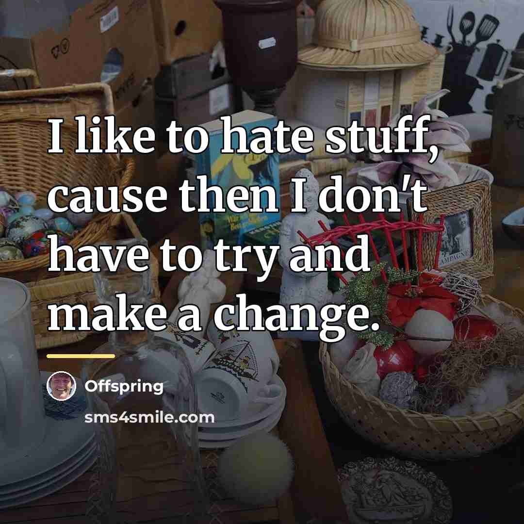 “I like to hate stuff, cause then I don't have…” quote by Offspring