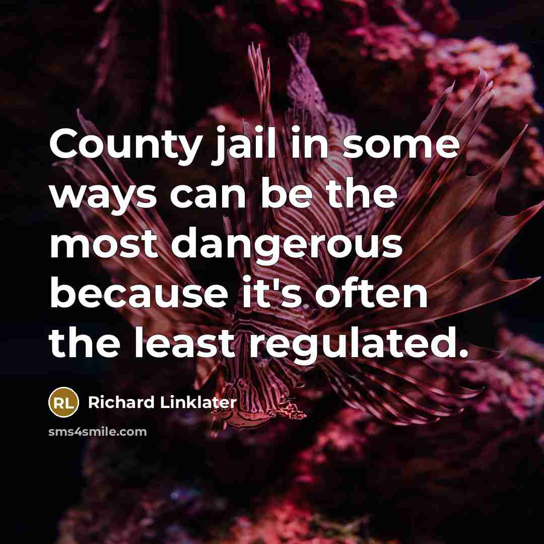 “County jail in some ways can be the most dangerous…” quote by Richard Linklater