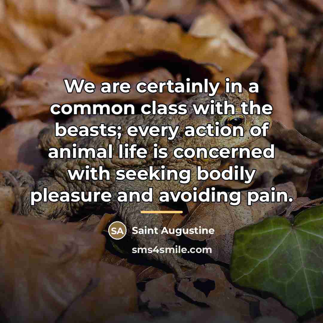 “We are certainly in a common class with the beasts;…” quote by Saint Augustine