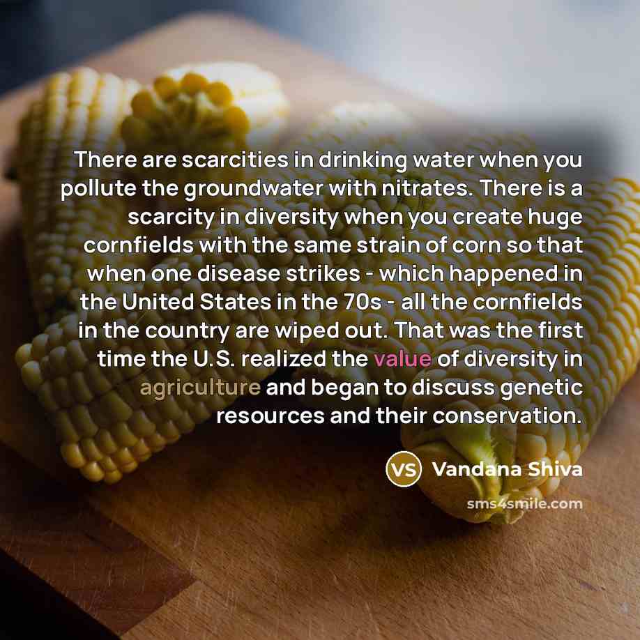 “There are scarcities in drinking water when you pollute the…” quote by Vandana Shiva