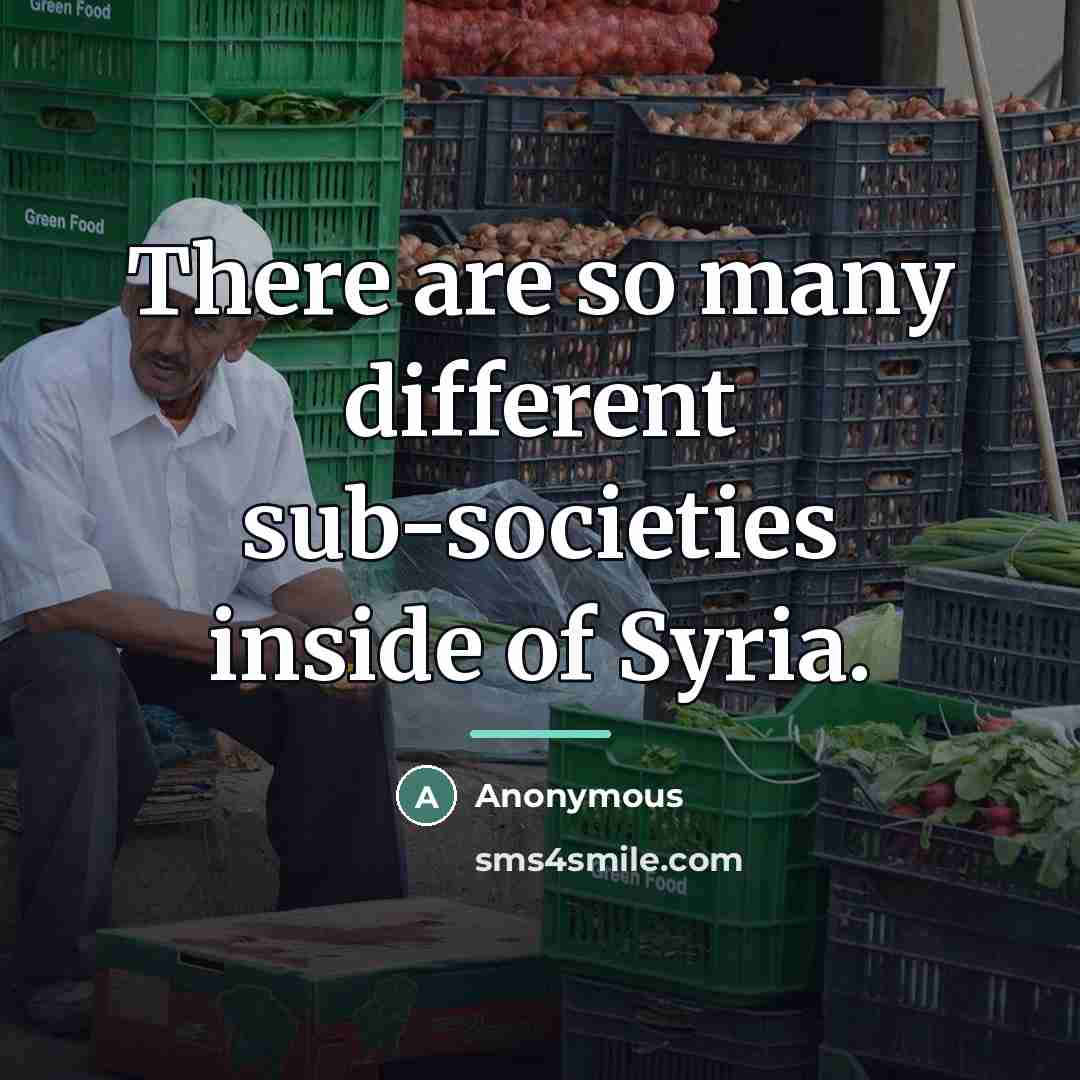 “There are so many different sub-societies inside of Syria.…” quote by Anonymous