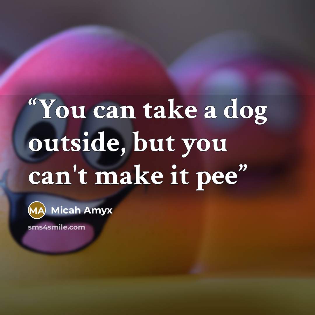 “You can take a dog outside, but you can't make it pee” quote by Micah Amyx