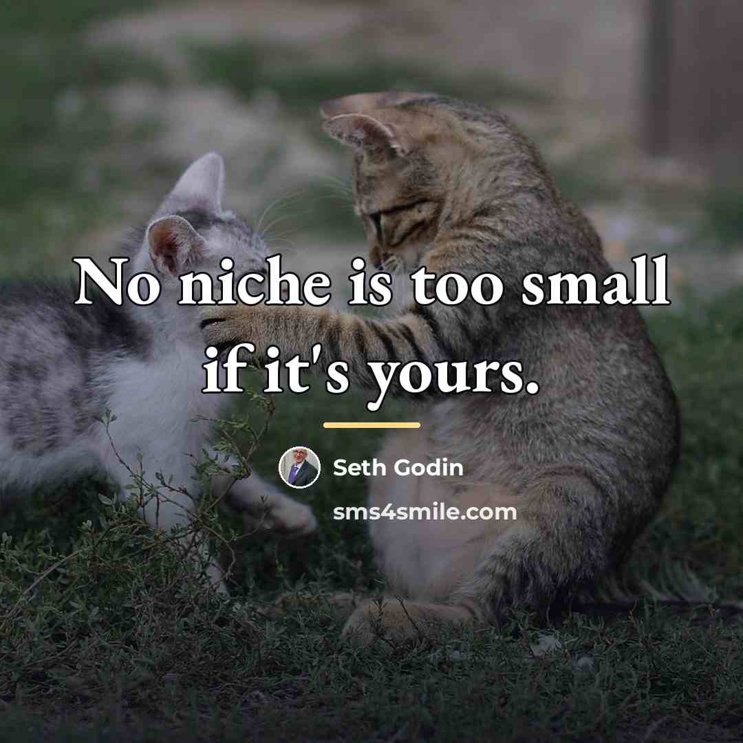 “No niche is too small if it's yours.…” quote by Seth Godin