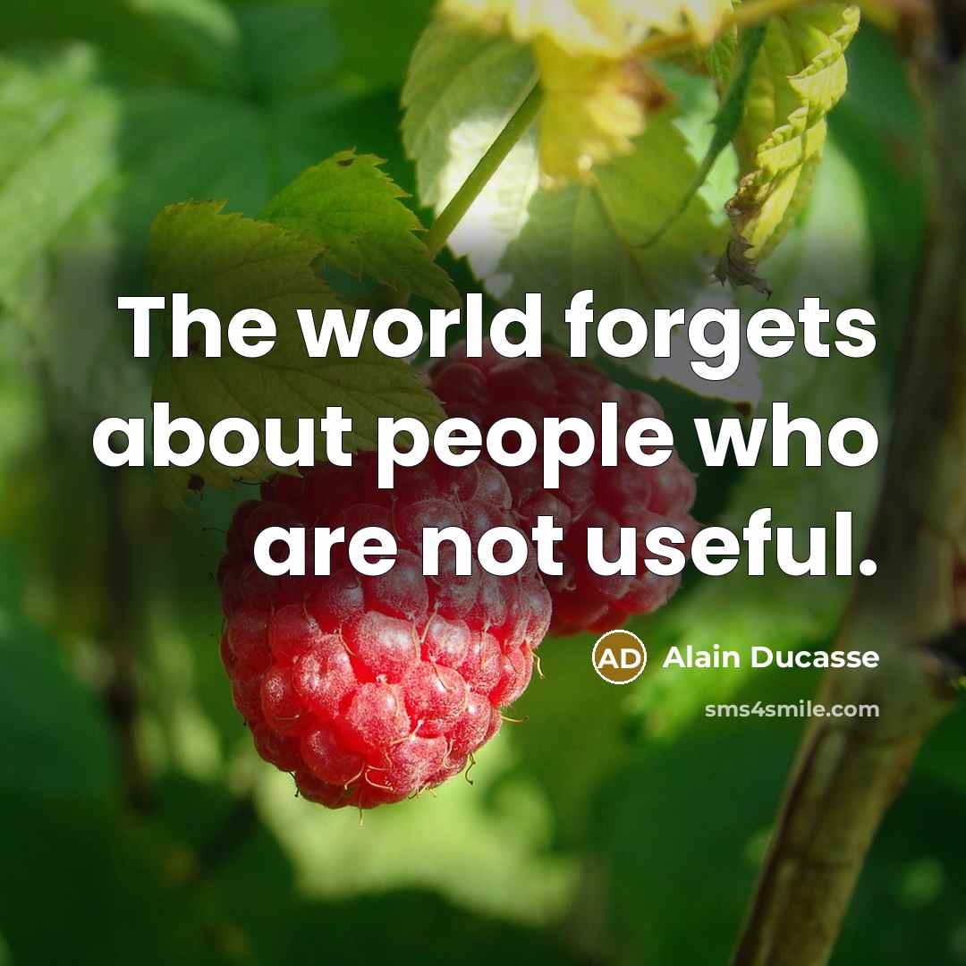 “The world forgets about people who are not useful.…” quote by Alain Ducasse