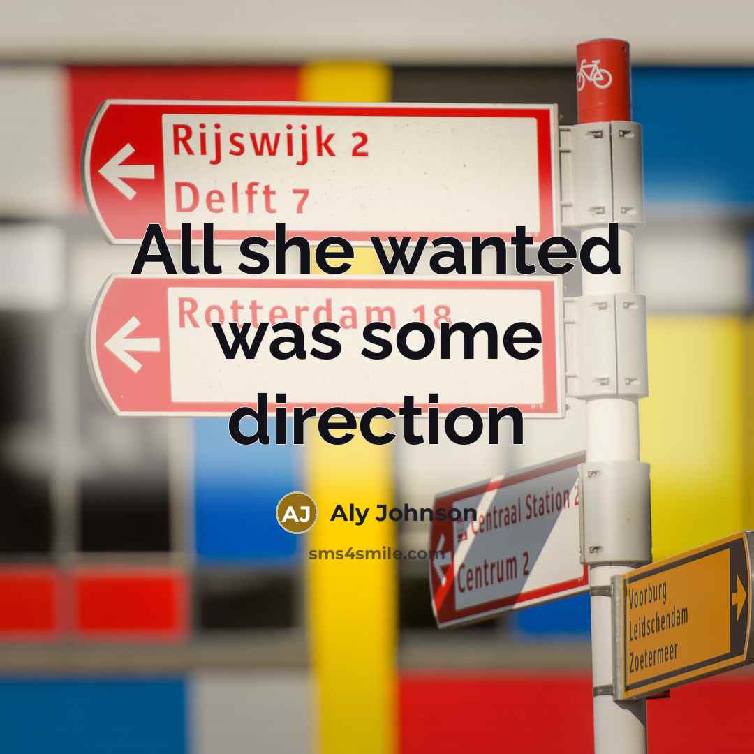 “All she wanted was some direction…” quote by Aly Johnson