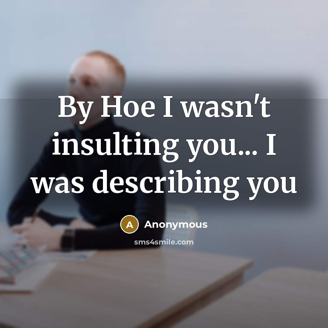 “By Hoe I wasn't insulting you... I was describing you…” quote by Anonymous
