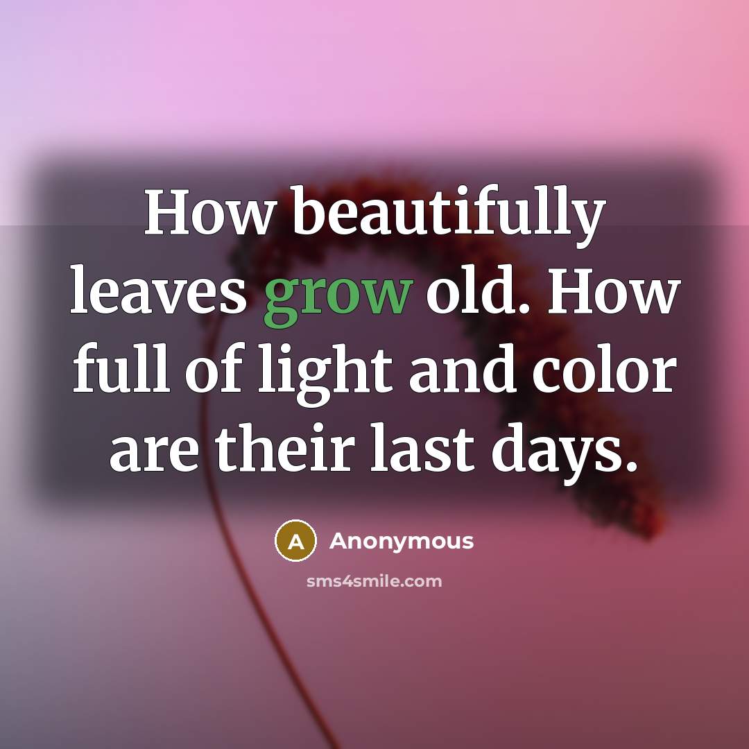 “How beautifully leaves grow old. How full of light and…” quote by Anonymous