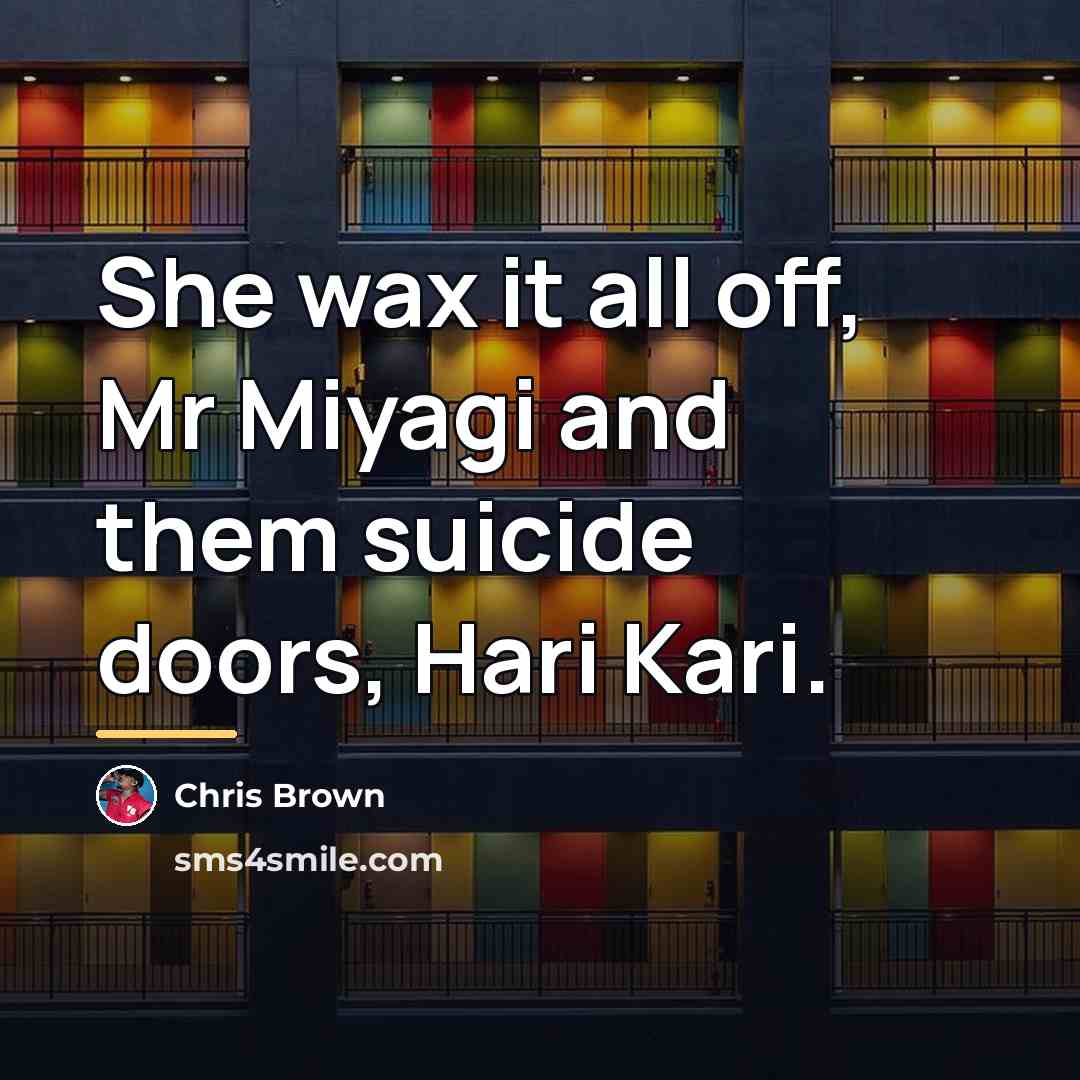 “She wax it all off, Mr Miyagi and them suicide…” quote by Chris Brown