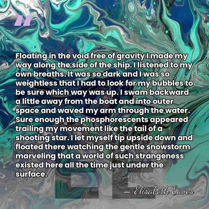 Floating in the void free of gravity I made my way along&hellip; - Elisabeth Eaves