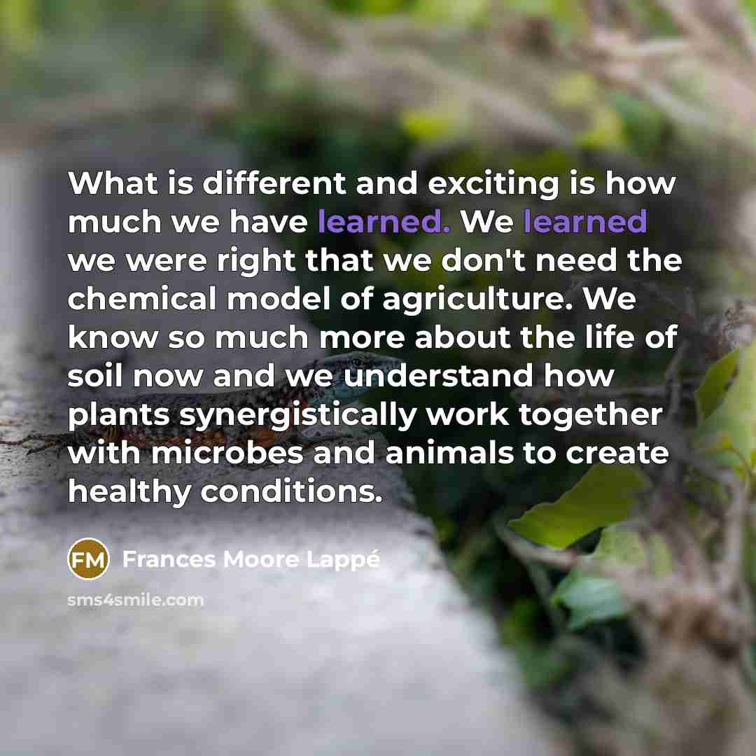 “What is different and exciting is how much we have…” quote by Frances Moore Lappé