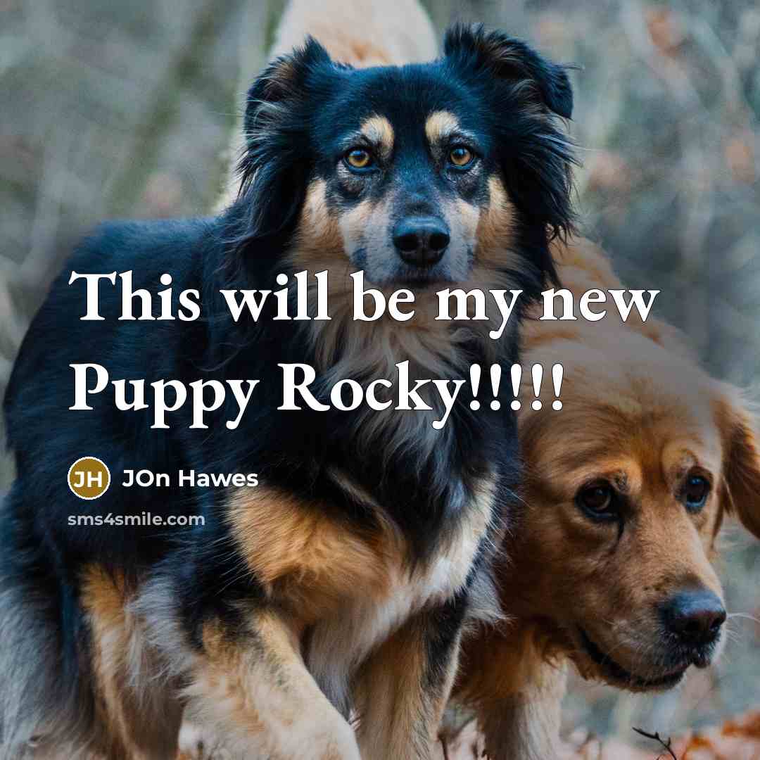 “This will be my new Puppy Rocky!!!!!…” quote by Jon Hawes