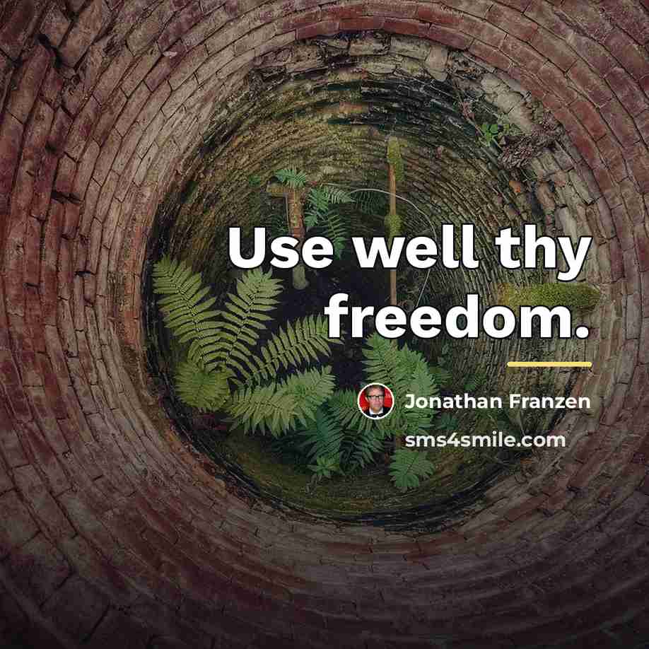 “Use well thy freedom.…” quote by Jonathan Franzen