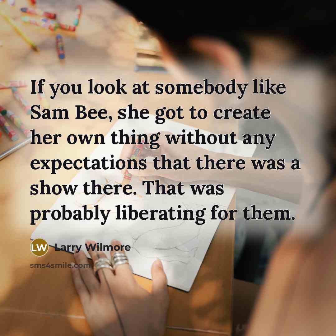 “If you look at somebody like Sam Bee, she got…” quote by Larry Wilmore
