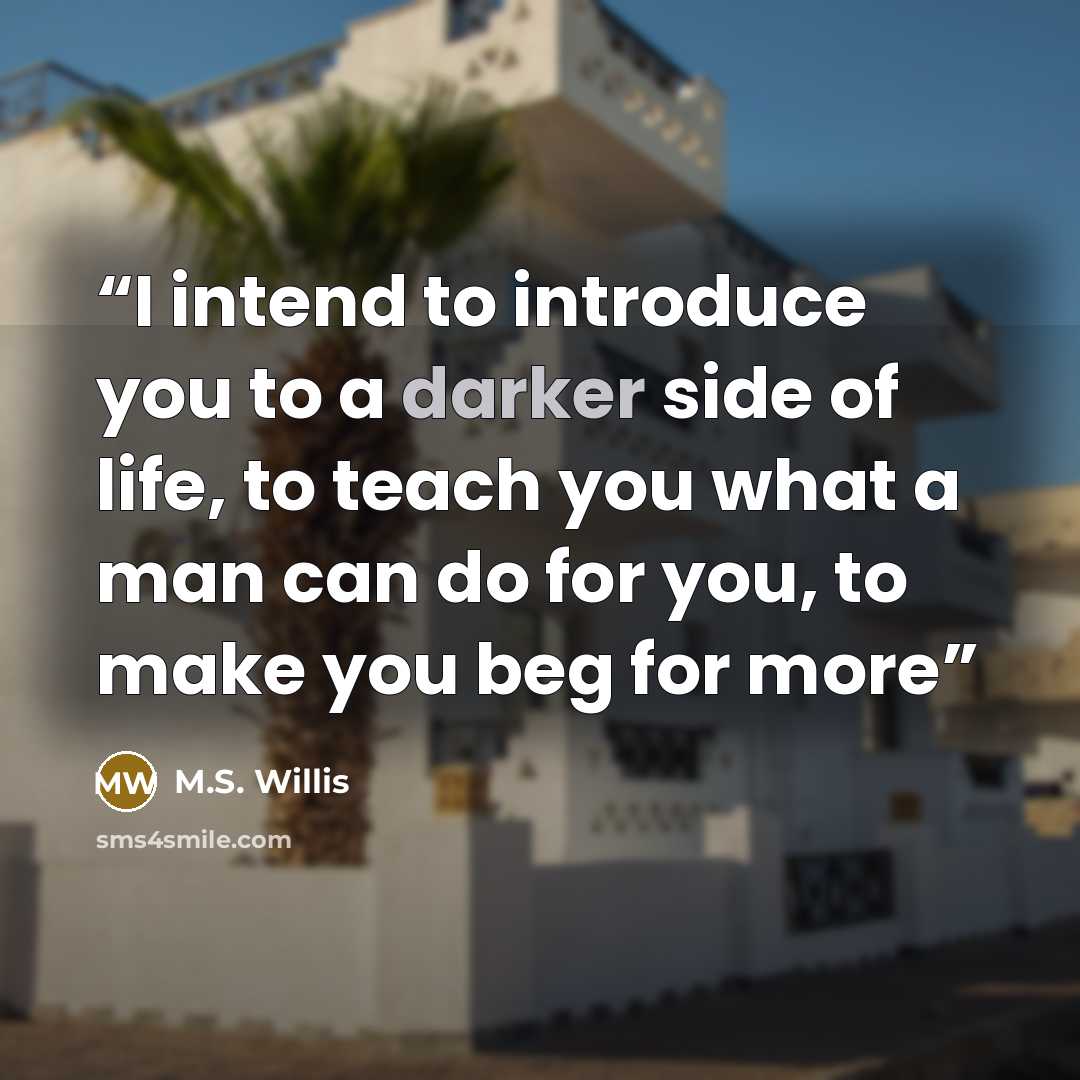 “I intend to introduce you to a darker side of life, to teach you what a man can do for you, to make you beg for more” quote by M.S. Willis