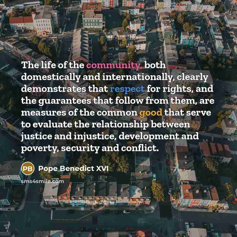 “The life of the community, both domestically and internationally, clearly…” quote by Pope Benedict XVI