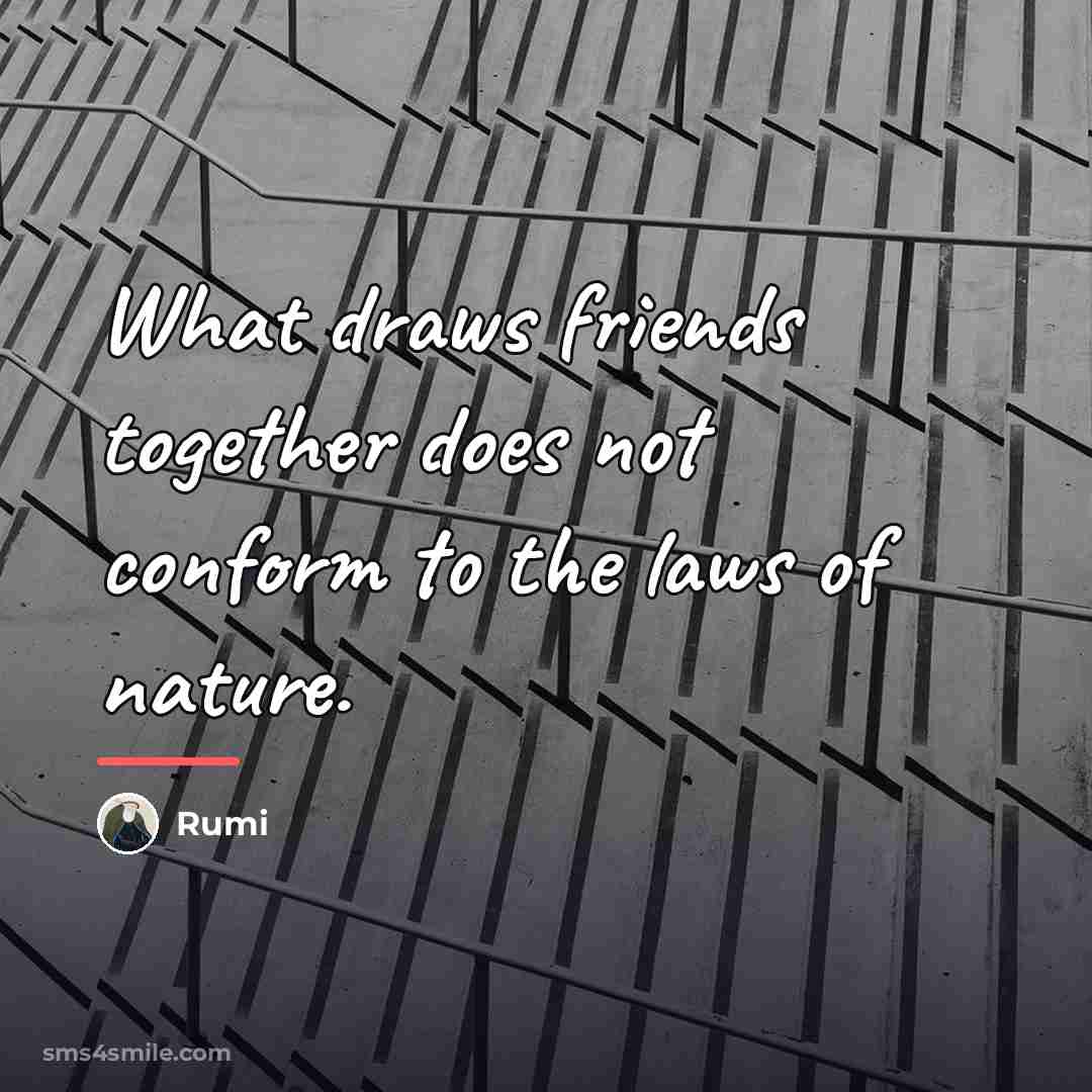 “What draws friends together does not conform to the laws…” quote by Rumi