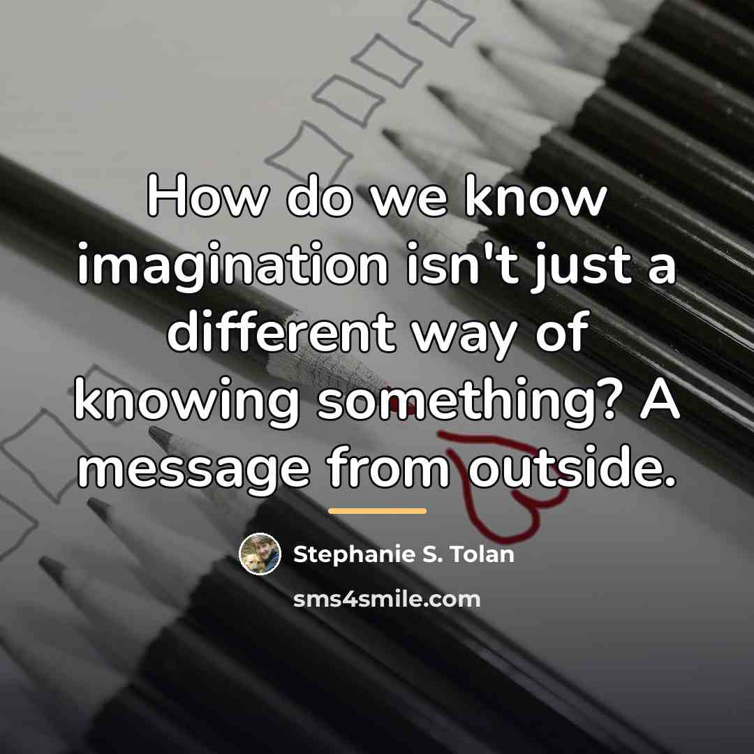 “How do we know imagination isn't just a different way…” quote by Stephanie S. Tolan