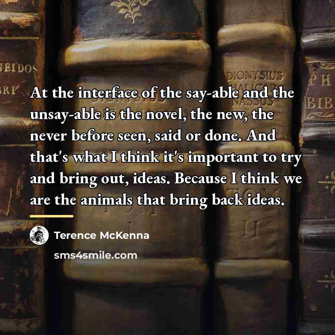 “At the interface of the say-able and the unsay-able is…” quote by Terence McKenna