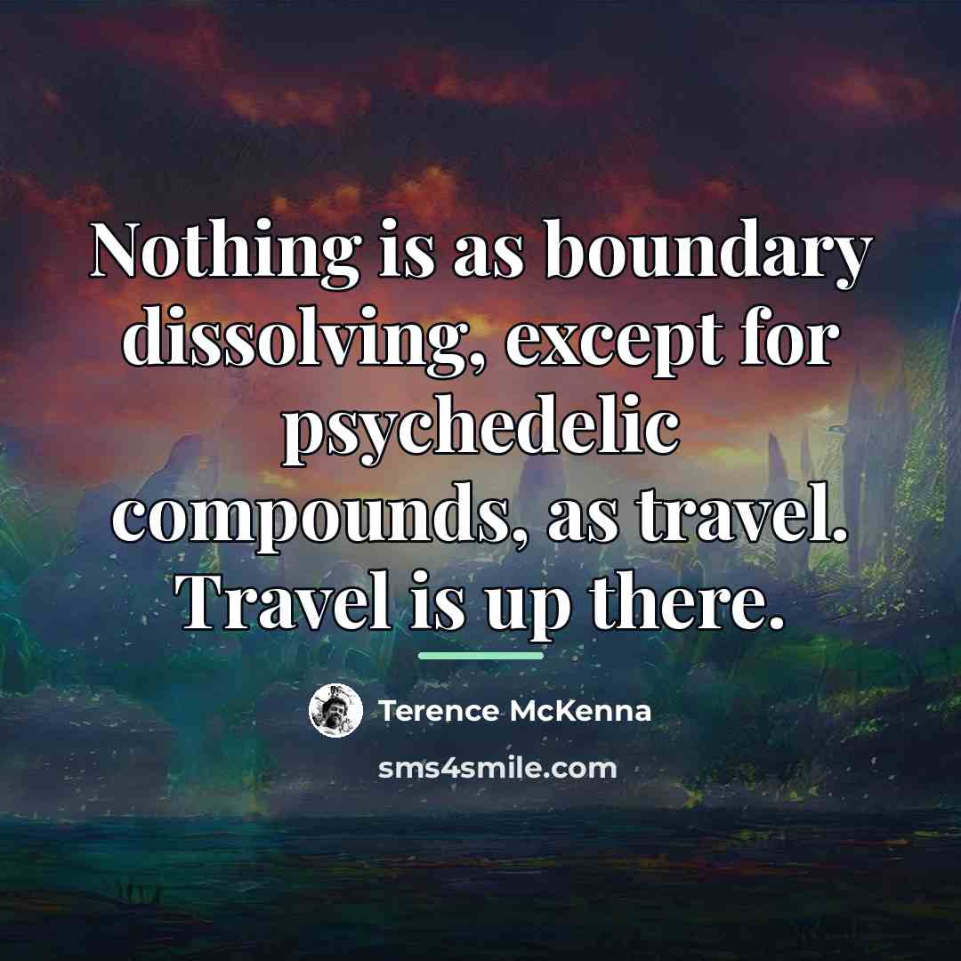 “Nothing is as boundary dissolving, except for psychedelic compounds, as…” quote by Terence McKenna