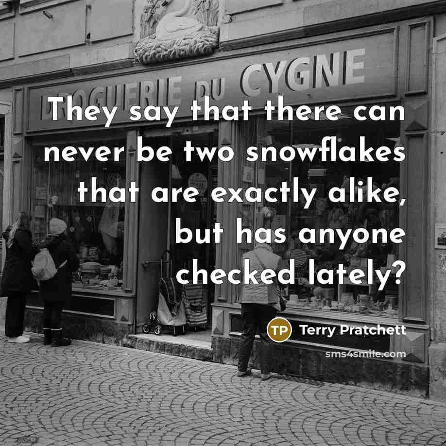 “They say that there can never be two snowflakes that…” quote by Terry Pratchett