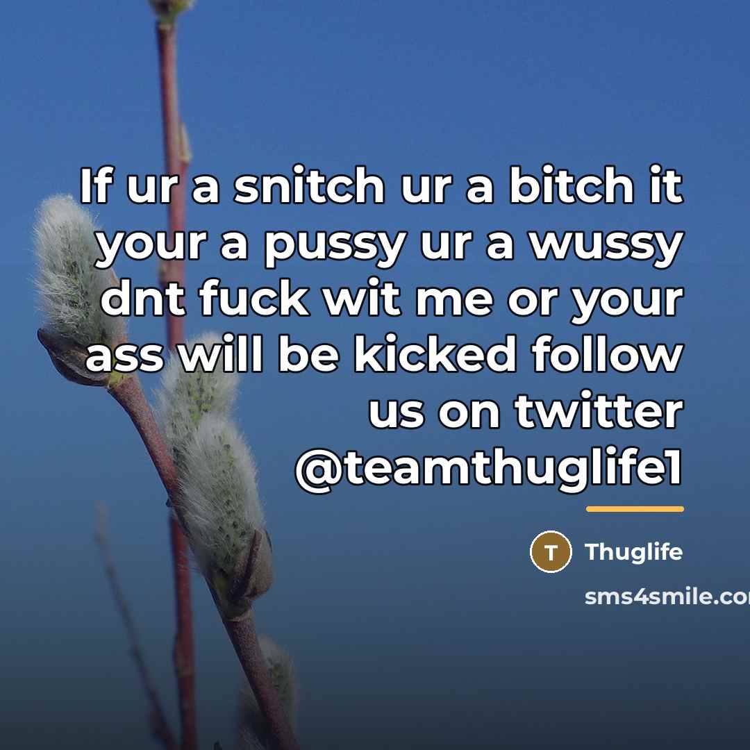 “If ur a snitch ur a bitch it your a…” quote by Thuglife