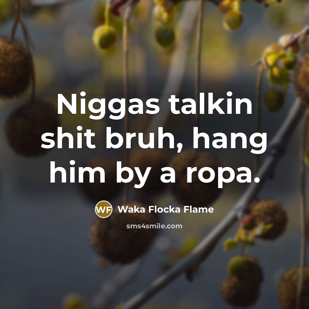 “Niggas talkin shit bruh, hang him by a ropa.” quote by Waka Flocka Flame