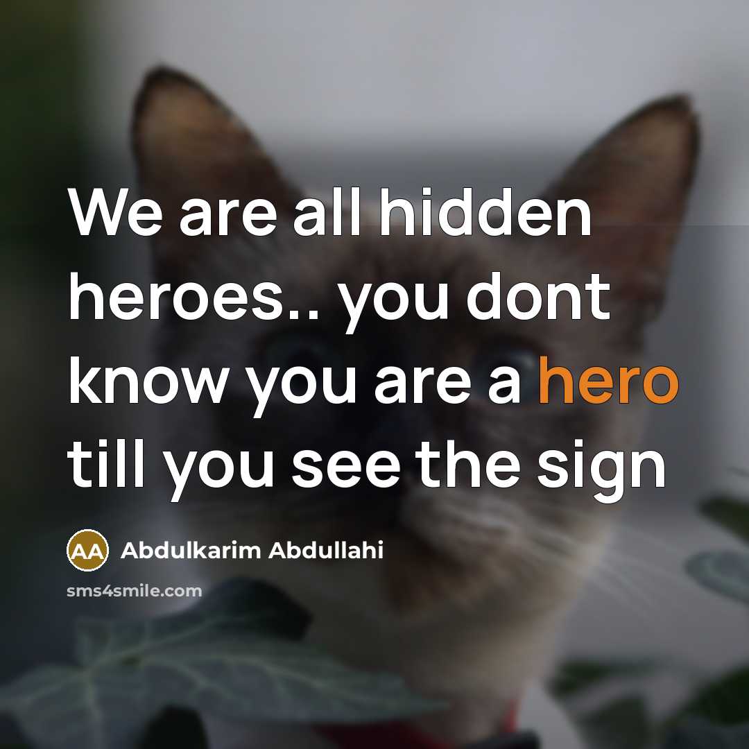 “We are all hidden heroes.. you dont know you are…” quote by Abdulkarim Abdullahi