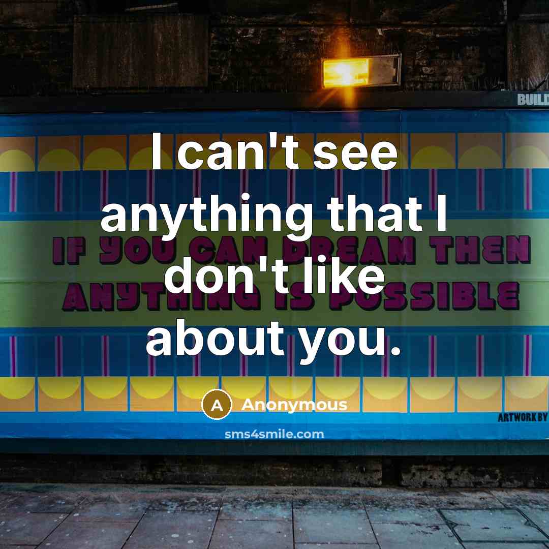 “I can't see anything that I don't like about you.…” quote by Anonymous
