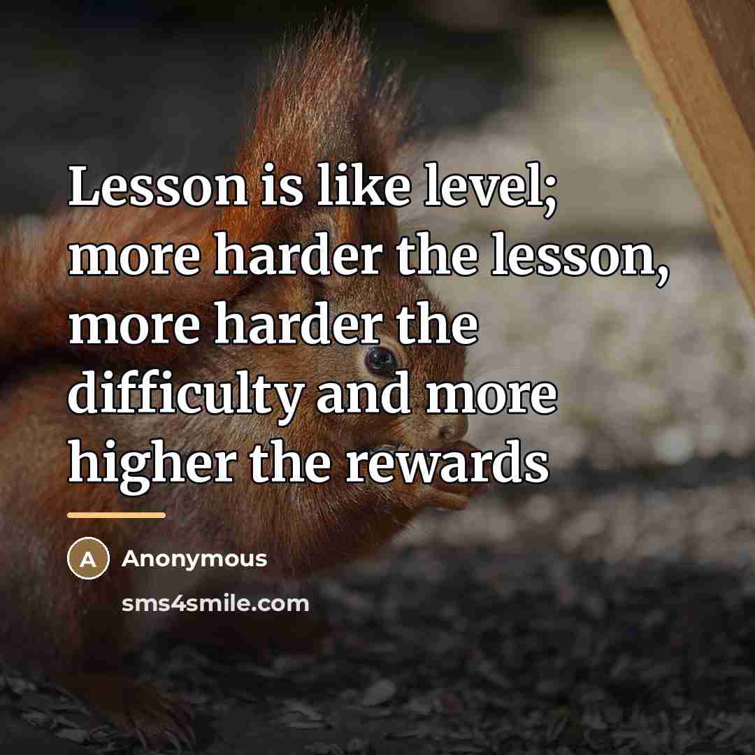 “Lesson is like level; more harder the lesson, more harder…” quote by Anonymous