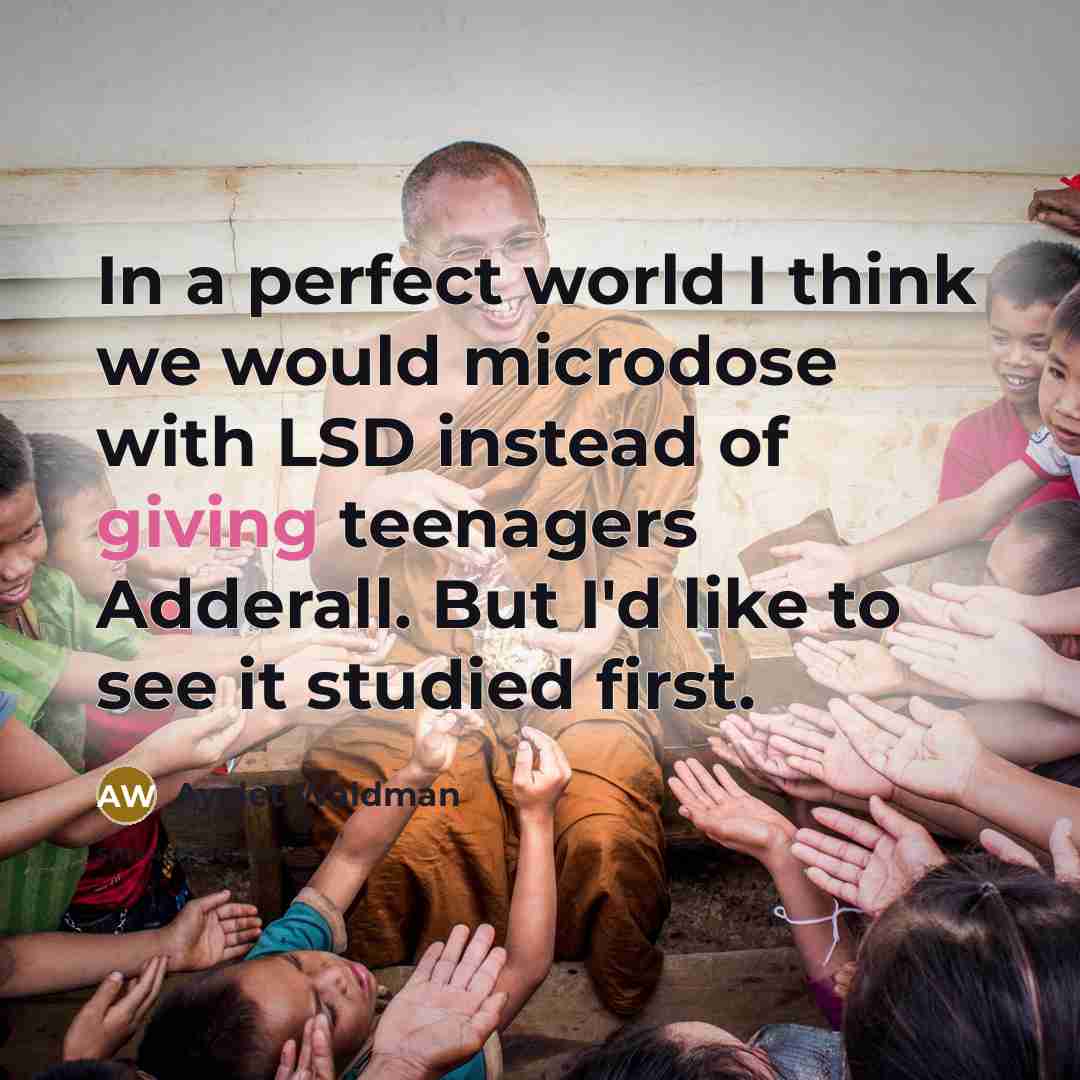 “In a perfect world I think we would microdose with…” quote by Ayelet Waldman
