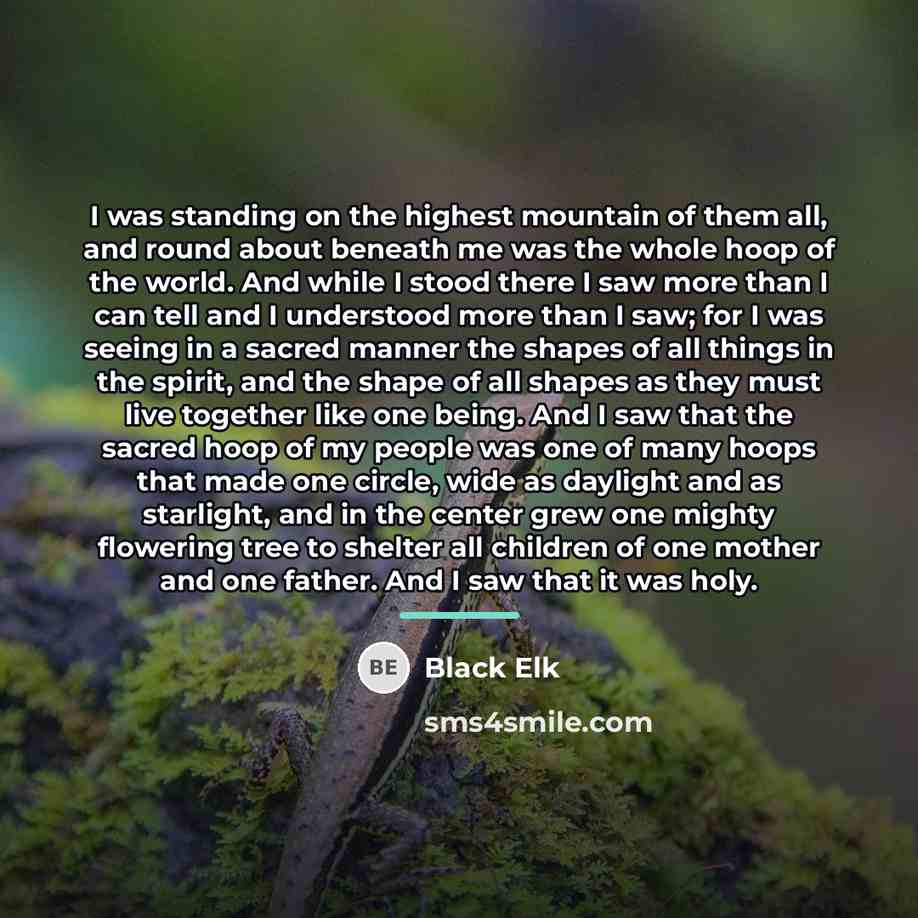 “I was standing on the highest mountain of them all,…” quote by Black Elk