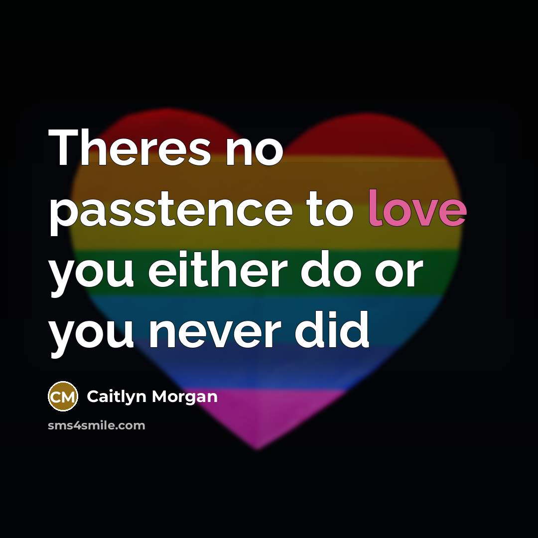 “Theres no passtence to love you either do or you never did” quote by Caitlyn Morgan