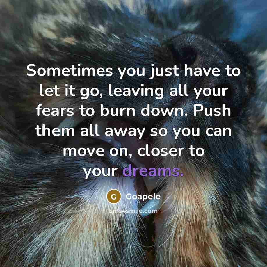 “Sometimes you just have to let it go, leaving all…” quote by Goapele