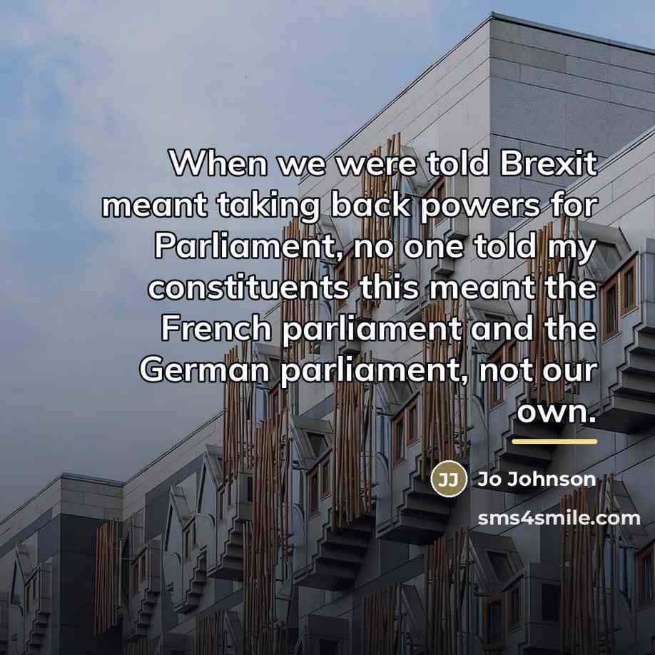 “When we were told Brexit meant taking back powers for…” quote by Jo Johnson