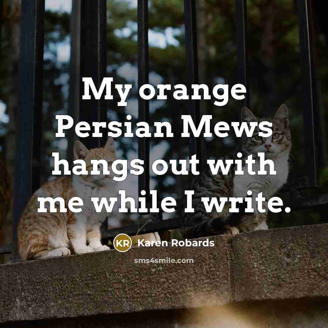 “My orange Persian Mews hangs out with me while I write.” quote by Karen Robards