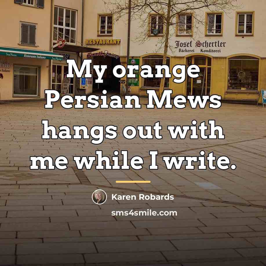 “My orange Persian Mews hangs out with me while I…” quote by Karen Robards