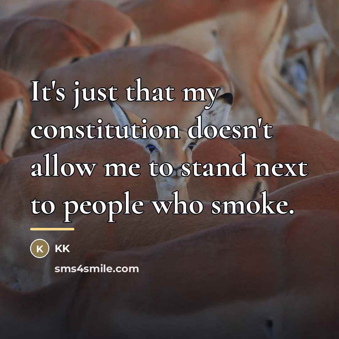 “It's just that my constitution doesn't allow me to stand…” quote by KK
